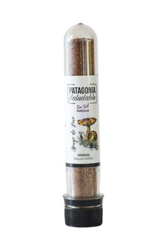 [TDS-02260] Condimento a base de Hongos de pino deshidratados molidos (SIN SAL AGREGADO) - 20 gr. / 0,71 Oz. - Marca: Patagonia Saludable